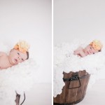 svea3