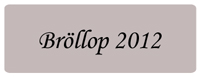 investering-brollop